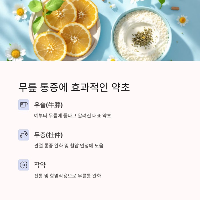 무릎 통증에 좋은 운동, 음식, 약초 총정리 요약 이미지