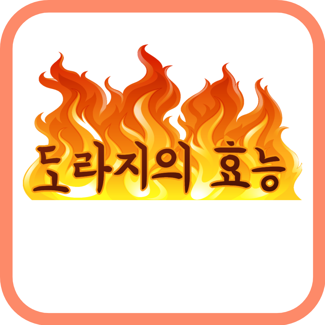 도라지효능