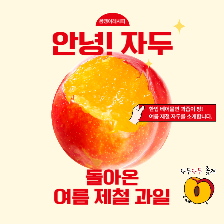 자두 효능 수확시기 완벽정리(+자두청 만들기)