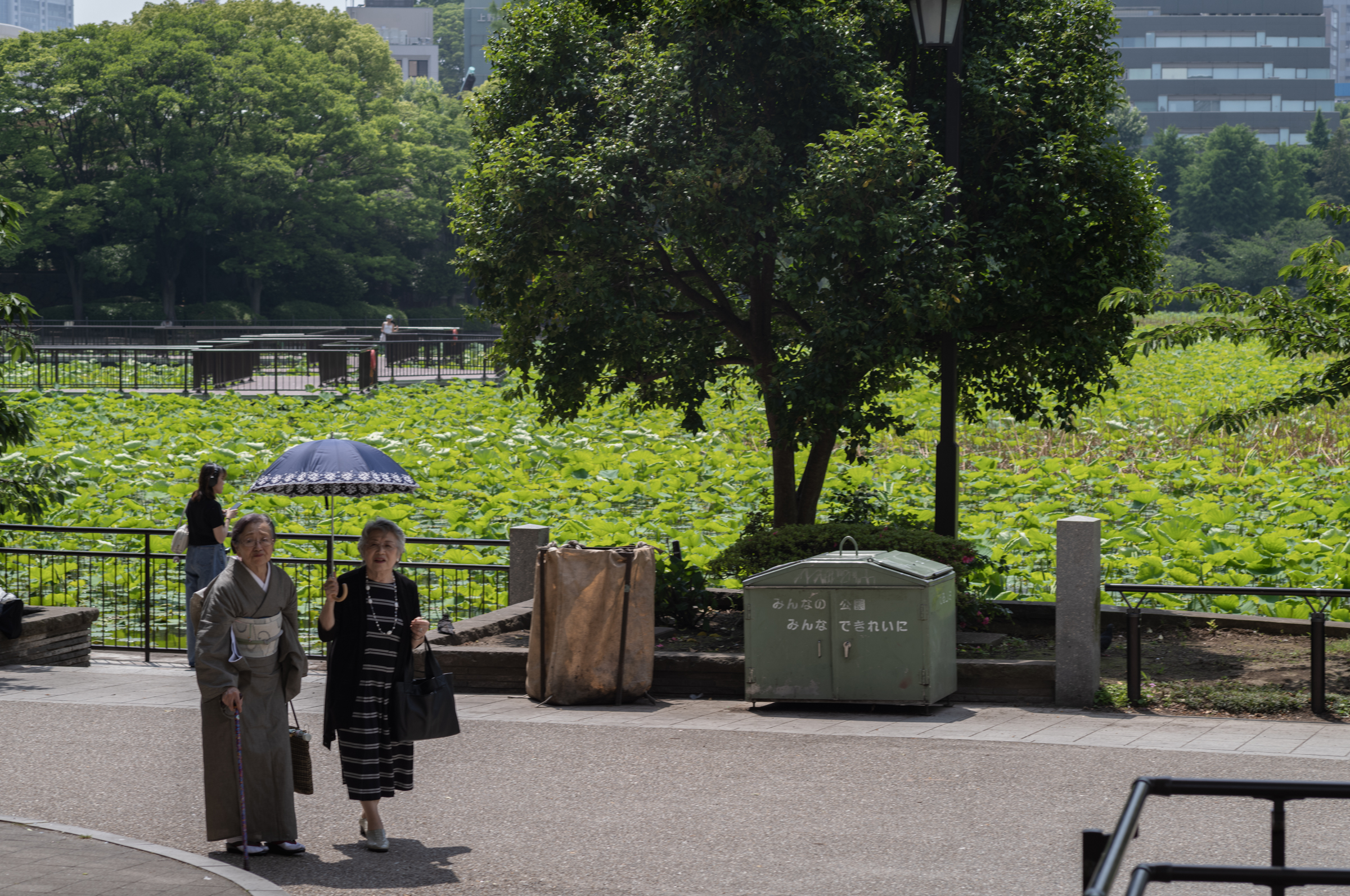 라이카 M11 주미크론 35mm 도쿄 우에노 스냅