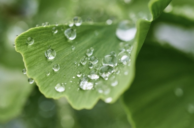 2025년 전기차 보조금