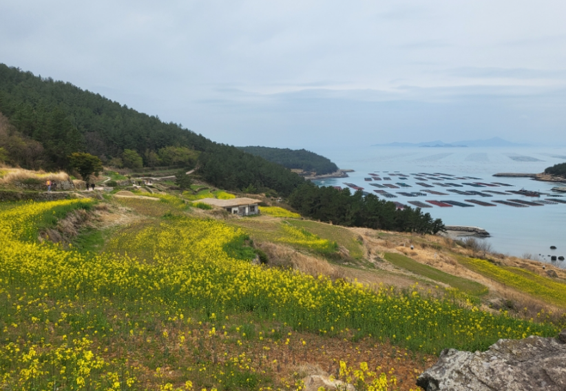 청산도 슬로걷기 축제 이미지