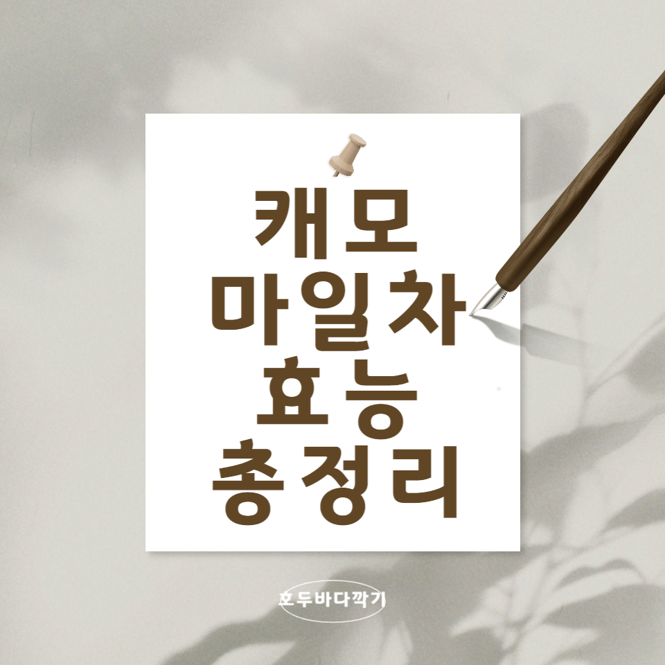 캐모마일차의-효능,부작용,칼로리,카페인-총정리