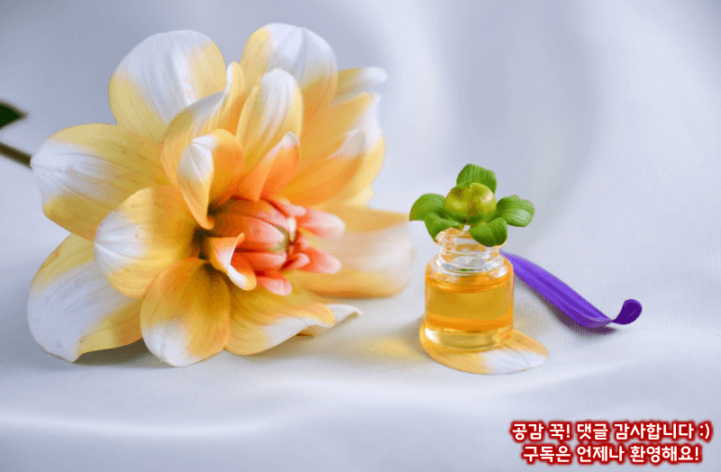 오래된 향수의 다양한 활용법