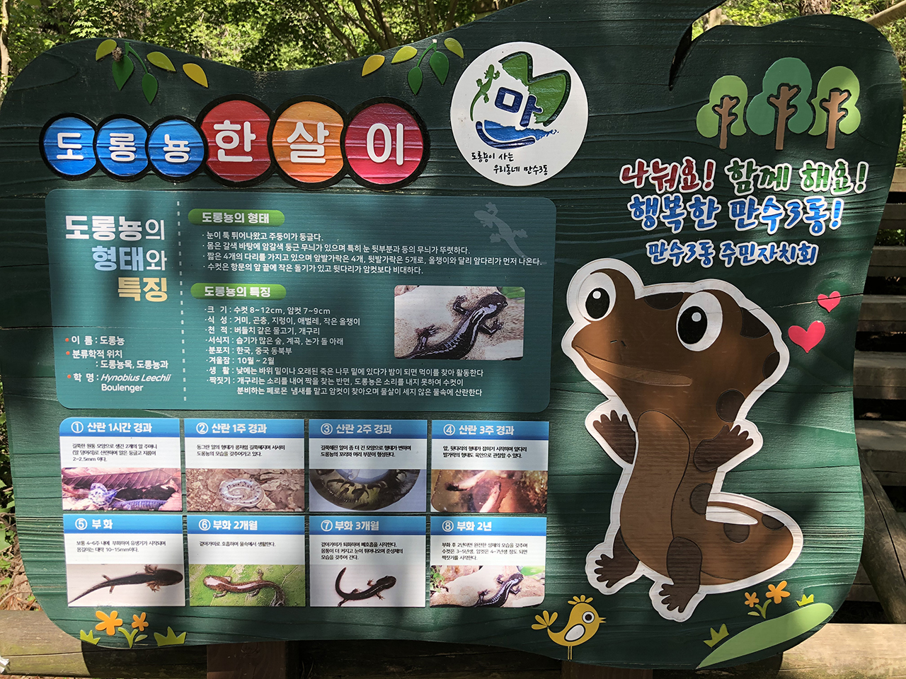 도롱뇽마을 안내