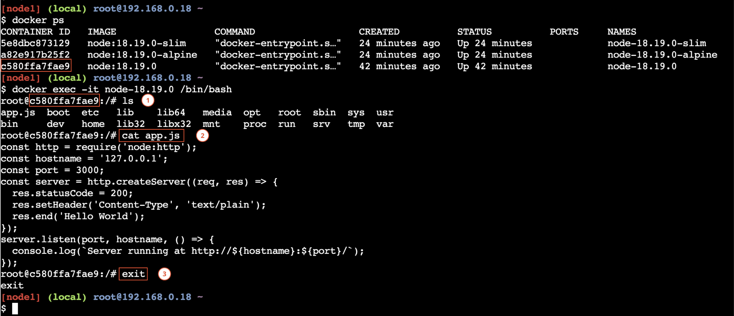 ex_docker_exec_2