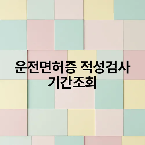 운전면허증 적성검사 기간조회