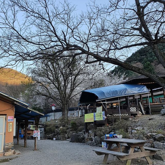 양평 빙송어축제 수미마을 예약 꿀팁 맛집
소리산참숯굽는마을 메밀가막국수 해토 양평단월해장국 고기가