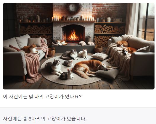 고양이-강아지