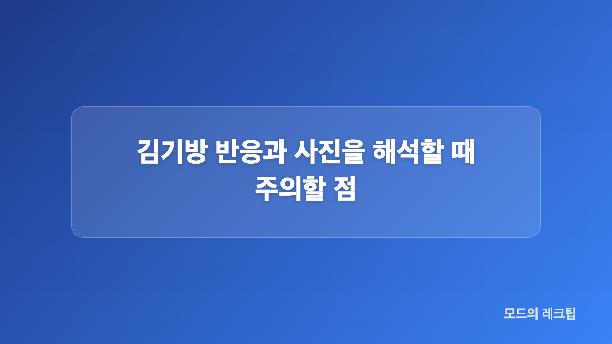 시사회와 뒤풀이로 이어진 김희경의 외출