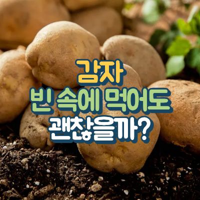 감자섭취가이드