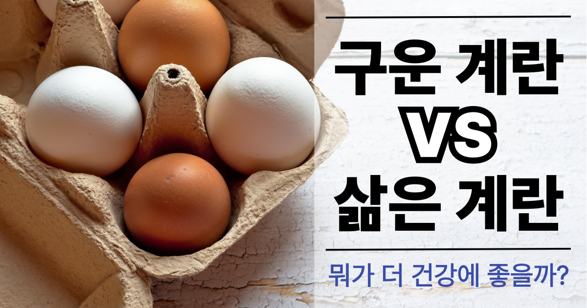 계란 사진
