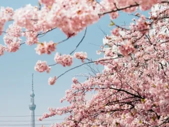 2025년 4월 달력 바탕화면 이미지 모음_13
