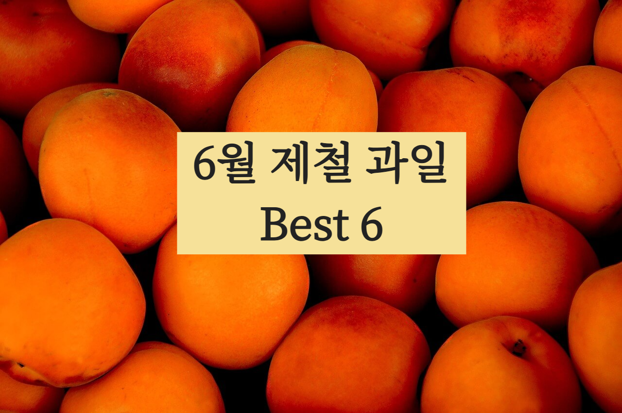 6월 제철 과일