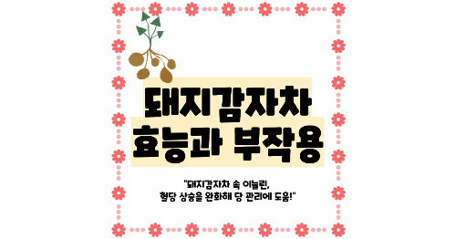 돼지감자차 효능과 부작용