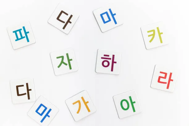한국어교원자격증