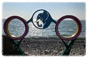 황금산 코끼리바위