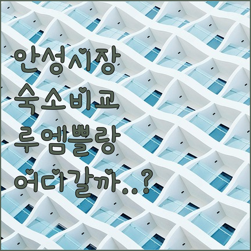 안성맞춤 시장 근처 숙소 루엠 쁠랑 ..