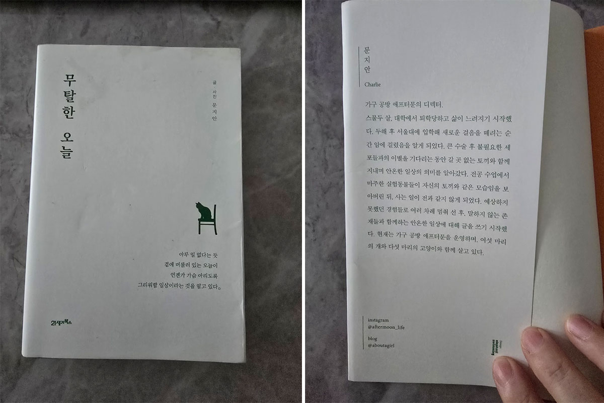 무탈한 오늘과 저자 문지안에 대해 책에서