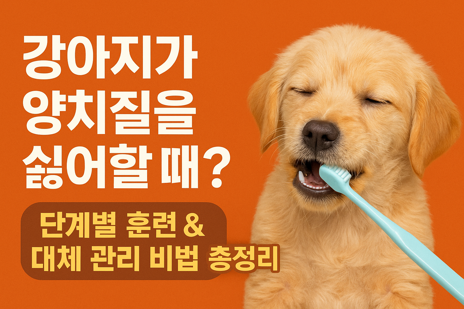 강아지가 양치질을 싫어할 때