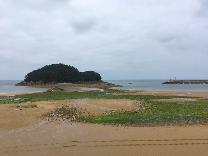 수목원-옆-바다2