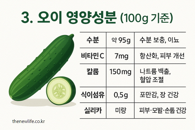 오이 영양성분을 표로 정리한 인포그래픽 이미지, 수분·비타민C·칼륨·식이섬유·실리카 함량과 효능이 포함됨