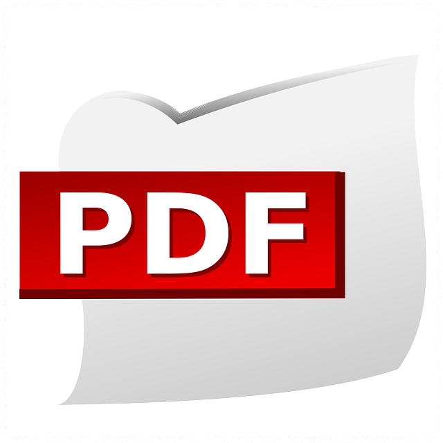 PDF가 문서 포맷의 대표인 이유 안내