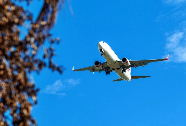 진에어 연간 프로모션