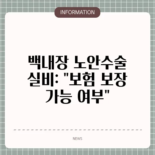 백내장 노안수술 실비: 