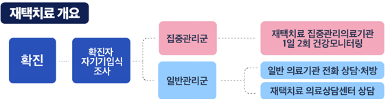 오미크론 재택치료 개요
