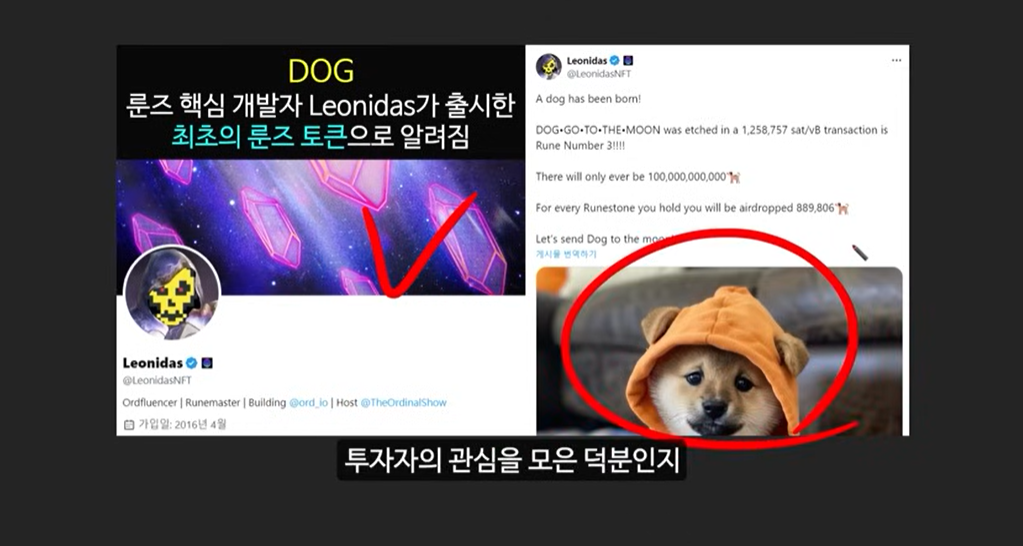 BRC-20 토큰과 비트코인 기반 코인: 사토시 코인의 급등 이유와 주요 토큰 소개 (룬즈, OrangeDX, Dog코인, Pups, ORDI)