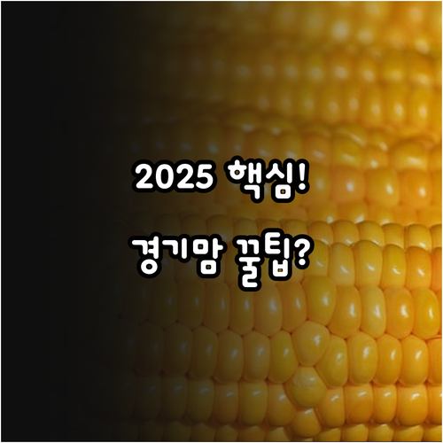 2025년 경기도 임산부 친환경농산물..