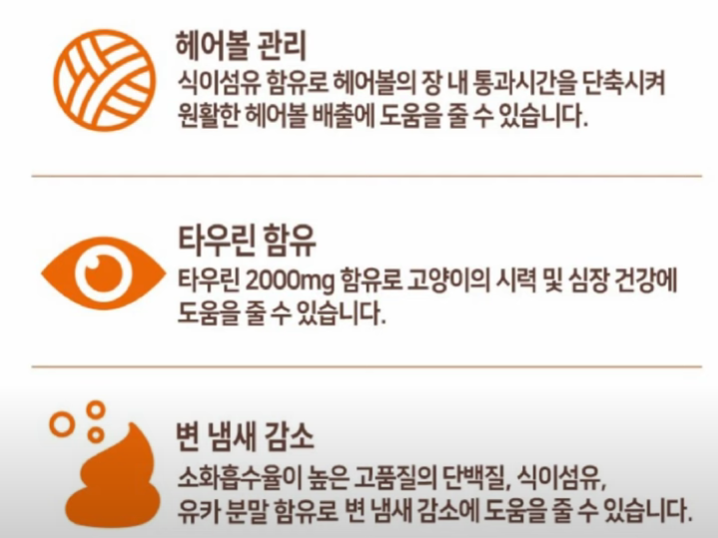 탐사 고양이 사료