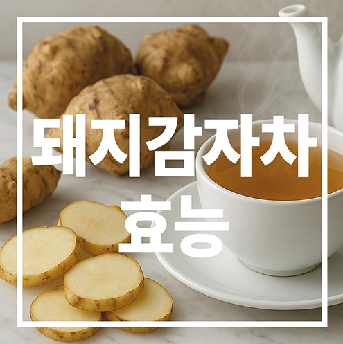 돼지감자차 효능