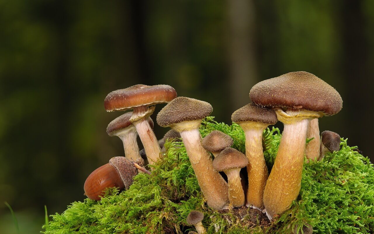 남해 편백 자연휴양림 예약 방법