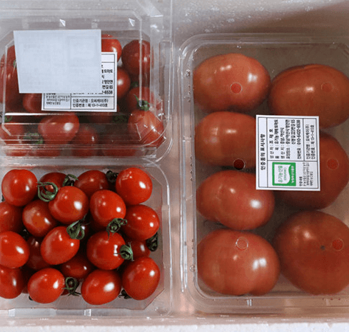 [6시 내고향] 아산 토마토 택배주문 달기농장 판매 문의