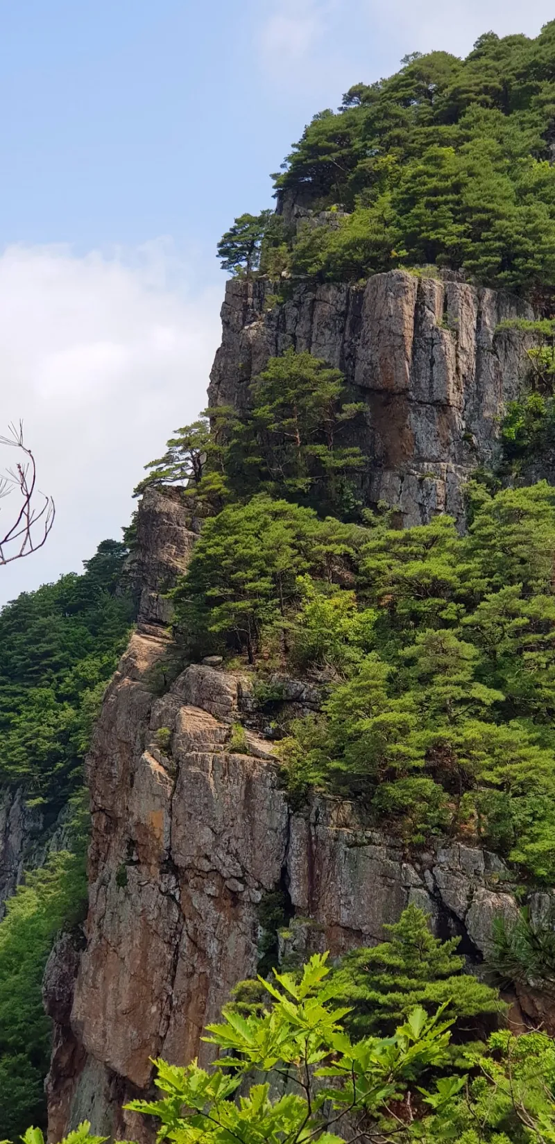 청도 복호산