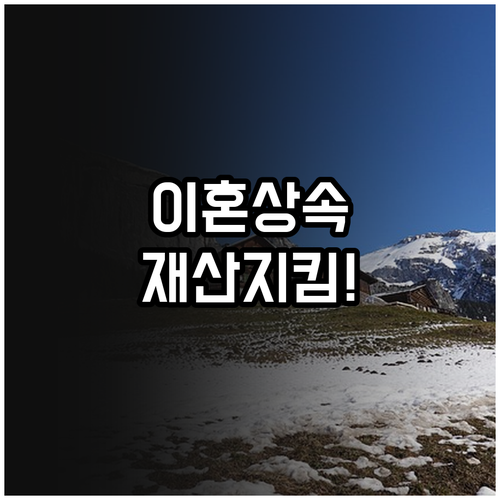 공동명의 주택 이혼 상속 시 재산 분..