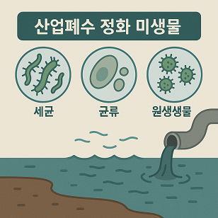 산업폐수 정화 미생물 종류 관련 사진