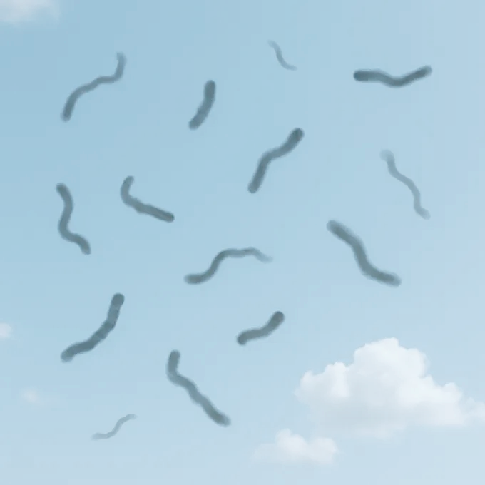 밝은 곳에서의 비문증 증상