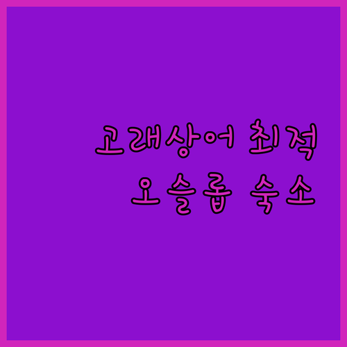 오슬롭 숙소 고민 끝! 고래상어 투어