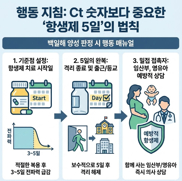 Ct값보다 항생제 복용 기간이 전염력 차단의 핵심임을 강조하며 백일해 양성 판정 후 항생제 5일 복용 기준을 설명하는 행동 지침 인포그래픽