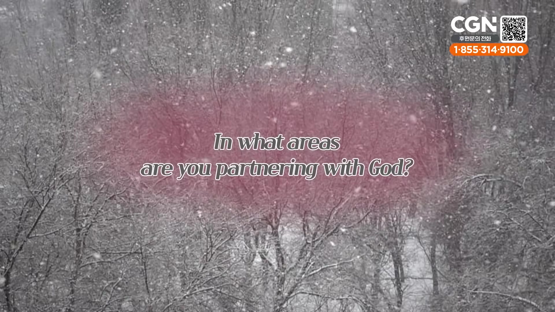 In what areas are you partnering with God?