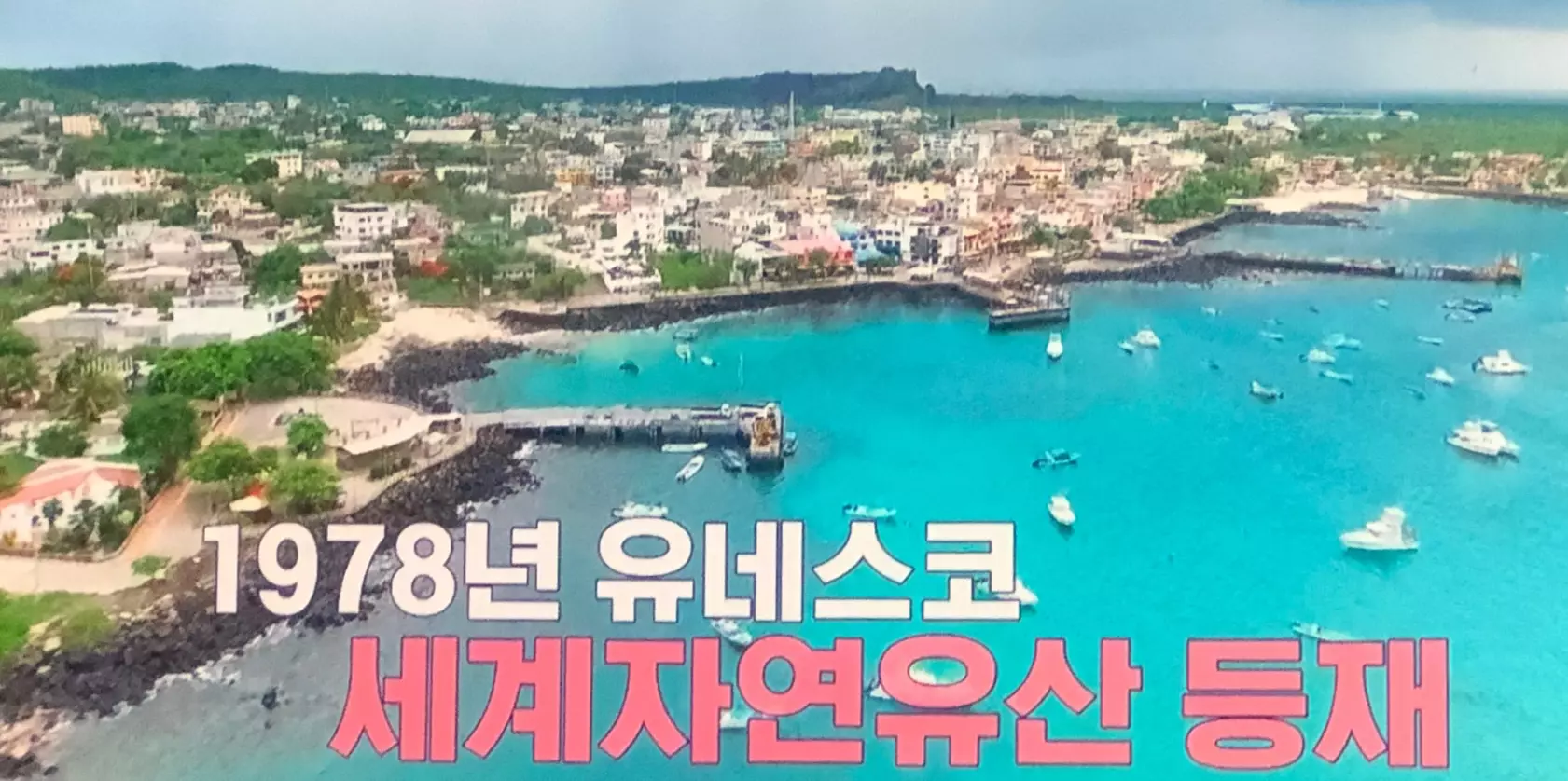 갈라파고스