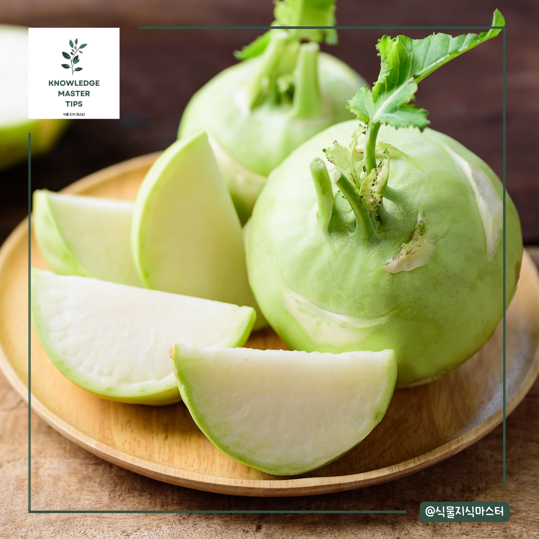 8월에 심기 좋은 농작물 - 콜라비