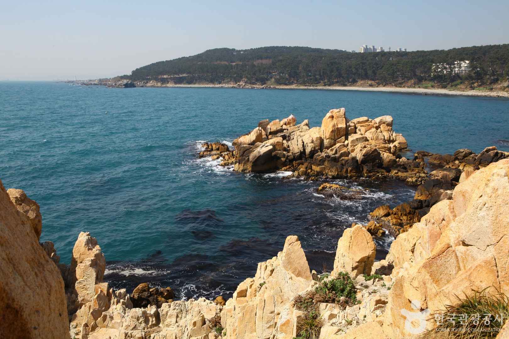 대왕암공원