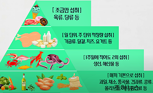 지중해식 식단의 구성과 권장섭취량_유튜브 내과전문의 닥터 케이