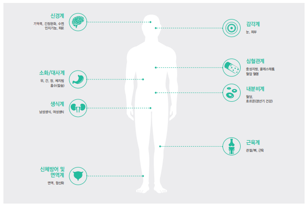 건강기능식품 기능별 정보(출처: 식약처 소비자맞춤 교육)