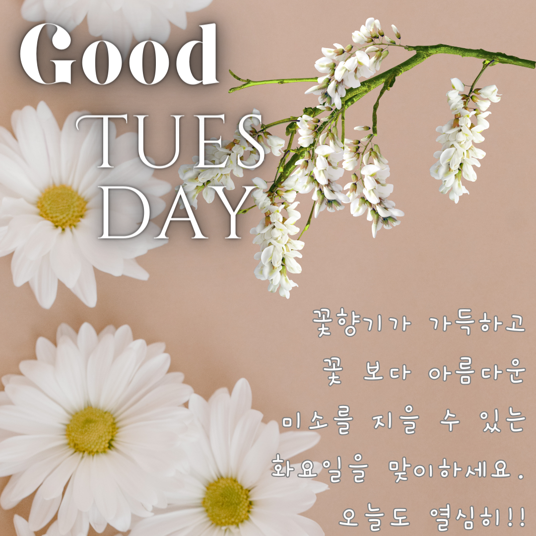 화요일 출근길 아침 인사말 문구 이미지 모음