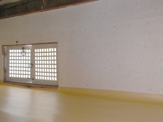 서산 유기방가옥 수선화축제 개화 상황